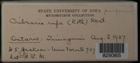 Image Associated With the Occurence